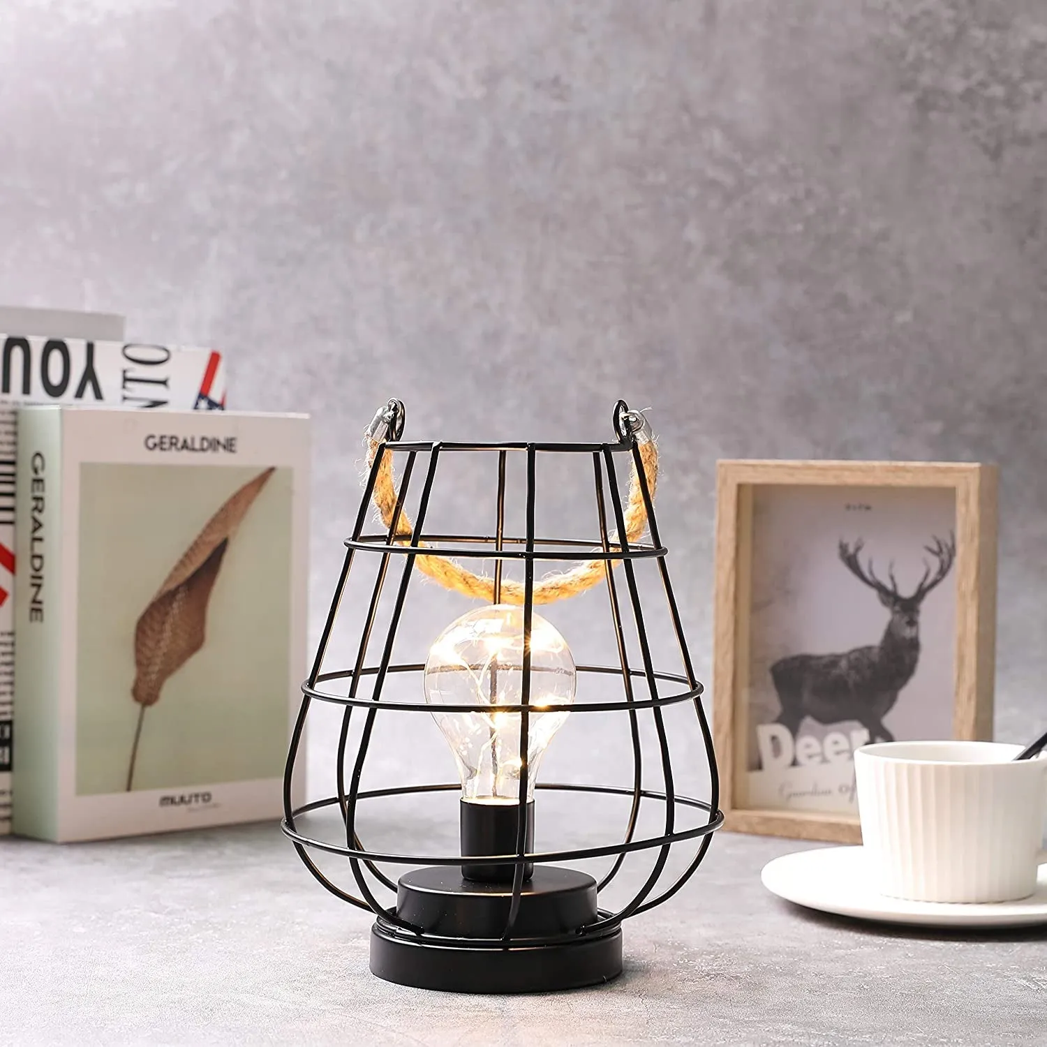 8.5 Cage Bulb Lantern