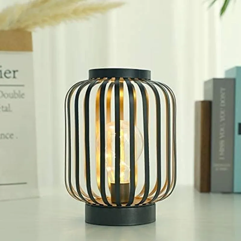 8.7 Metal Cage Decorative Lamp