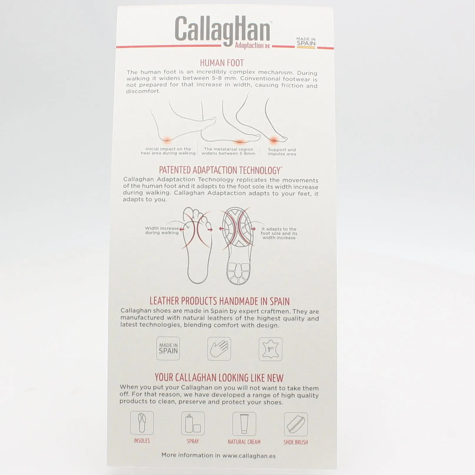 87199 CALLAGHAN 22