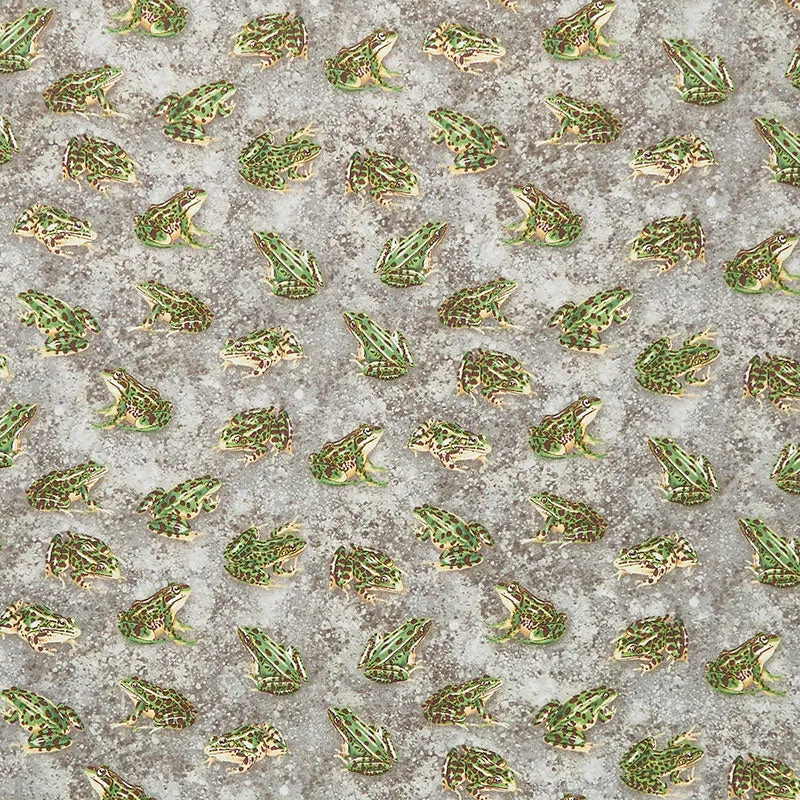 Animals - Realistic Frogs Grey Yardage