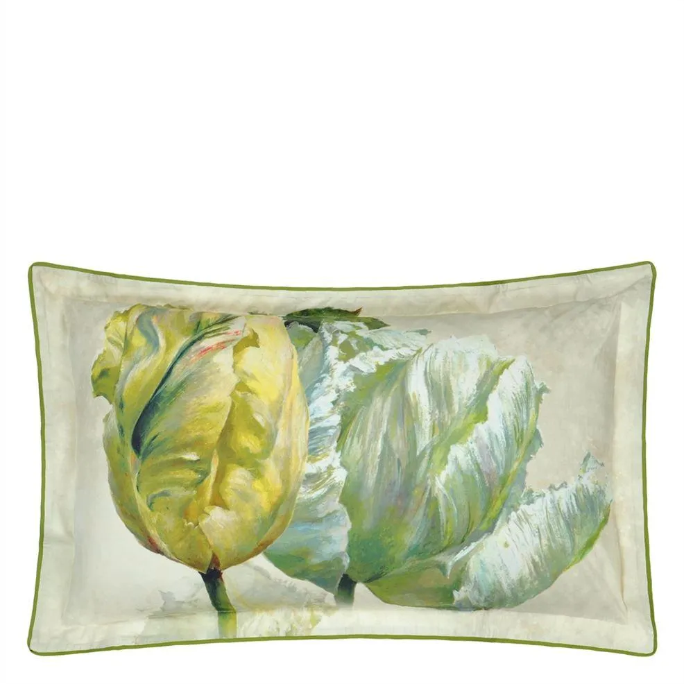 Designers Guild Spring Tulip Buttermilk Sham