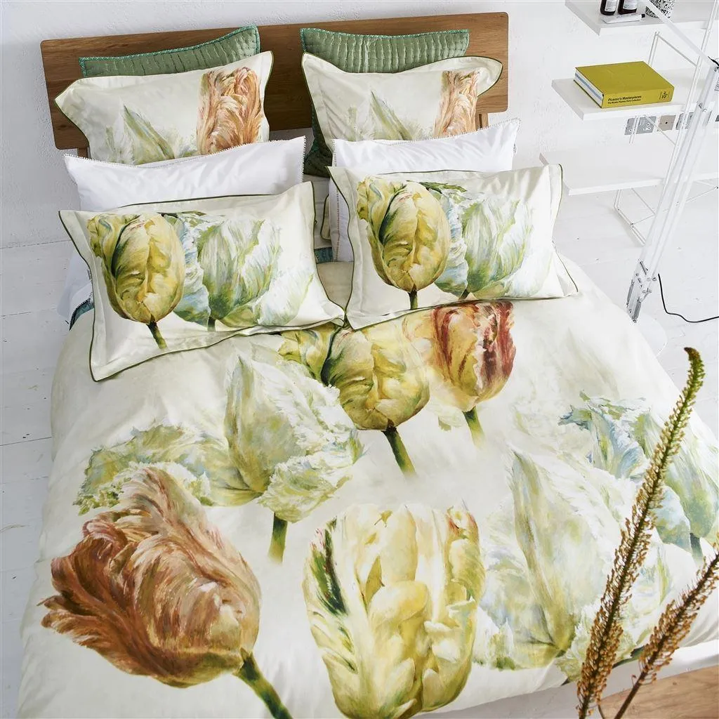 Designers Guild Spring Tulip Buttermilk Sham