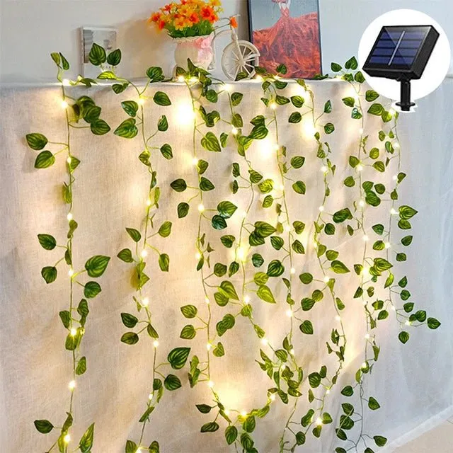 Fairy Plant Light