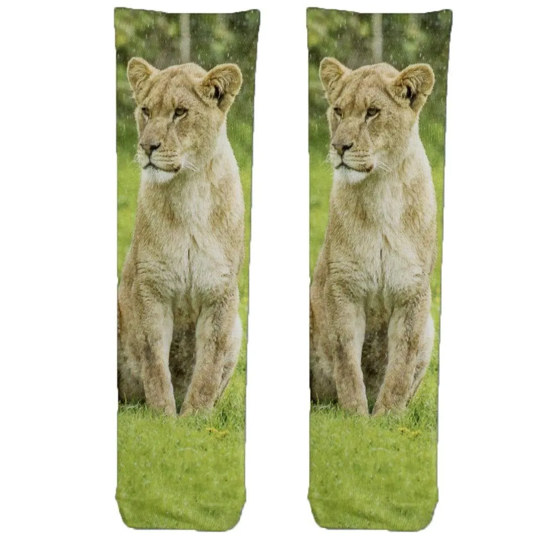 Lioness Socks Unisex Crew Socks