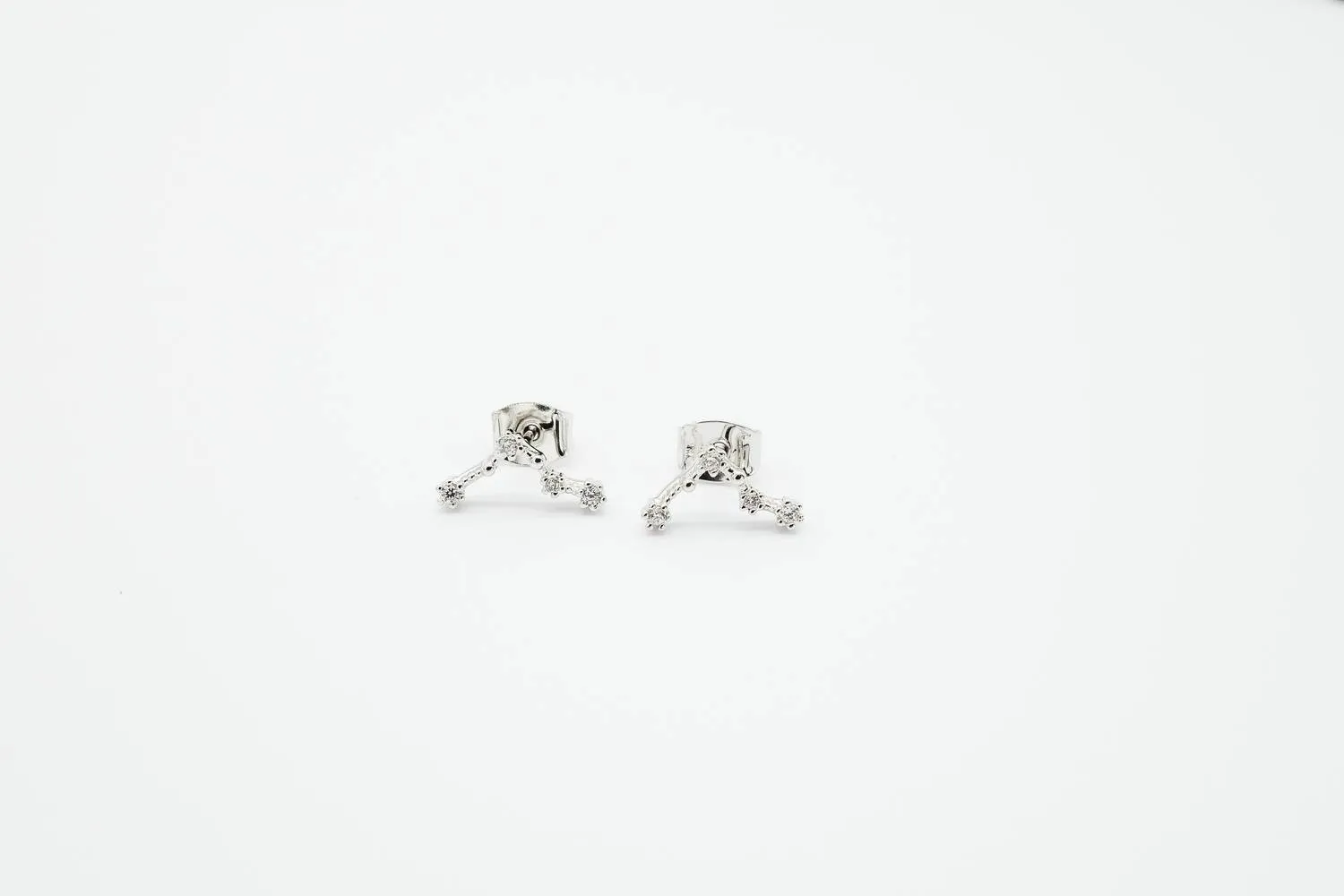 Pisces Earrings Feb 19. - Mar 20.